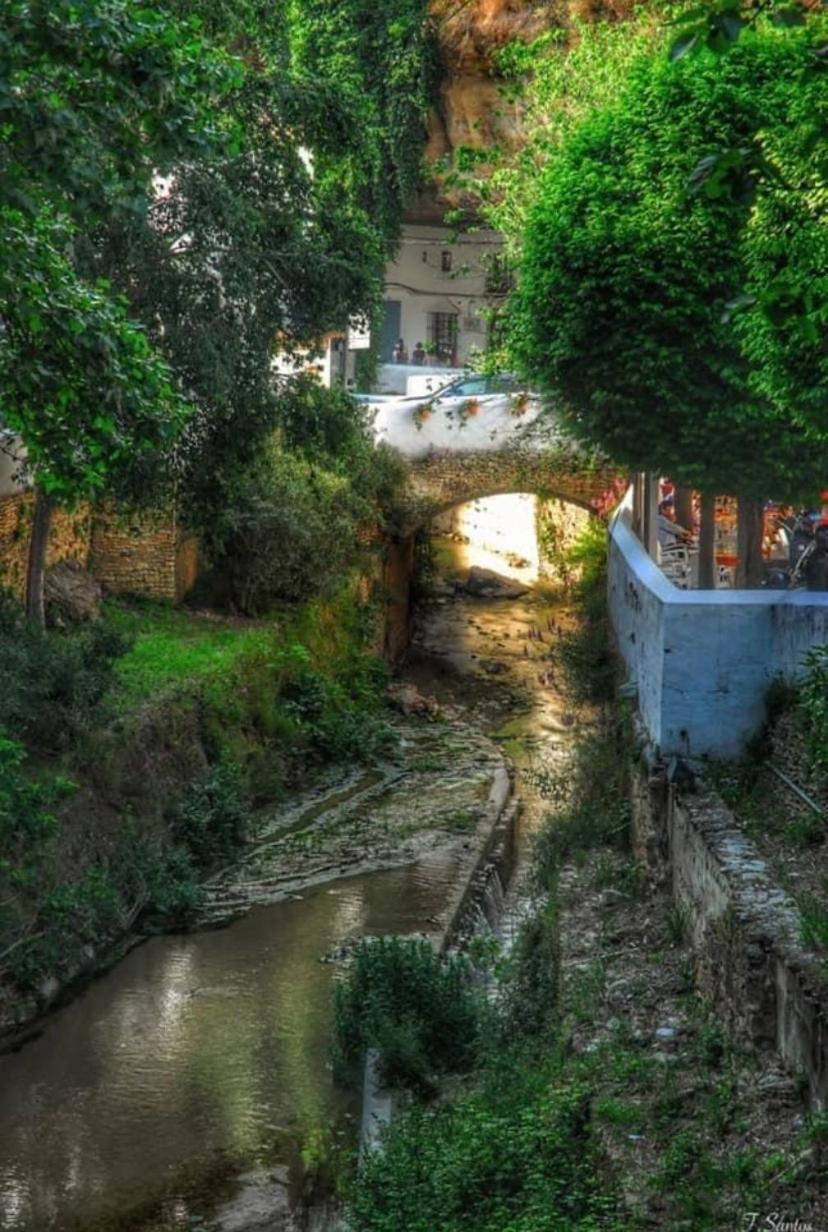Willa Casa Cueva Un Rincon En La Roca Setenil De Las Bodegas Zewnętrze zdjęcie
